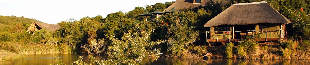Bayethe Tented Lodge